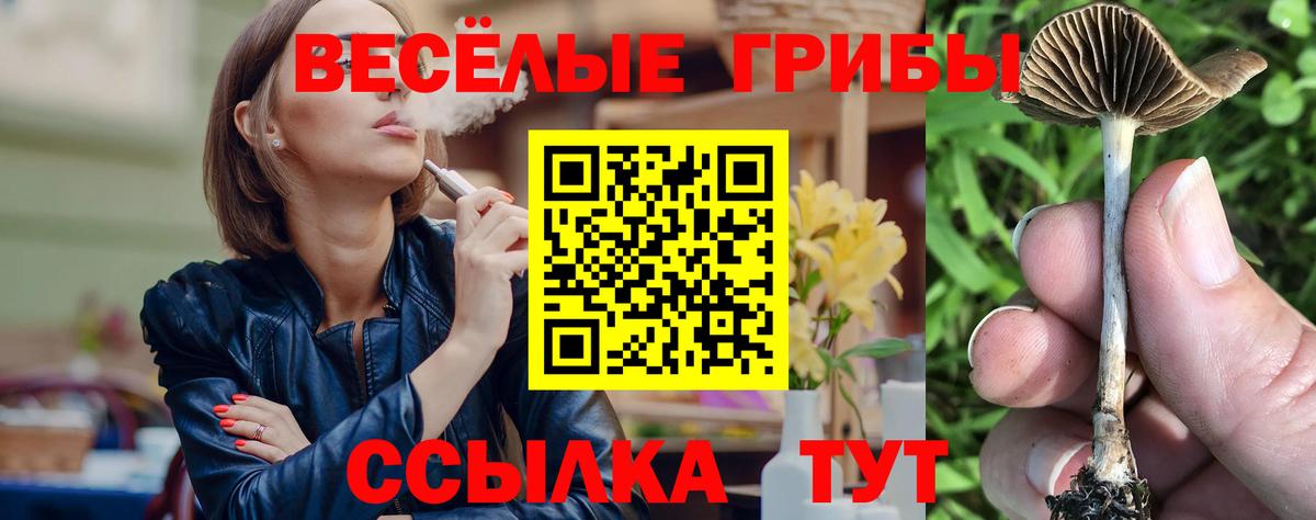 Псилоцибиновые грибы Cubensis Якутск